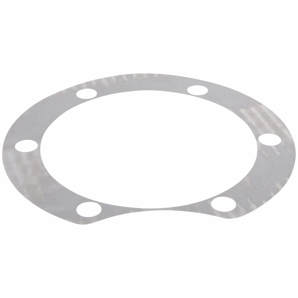 Dana 062829 Shim .005