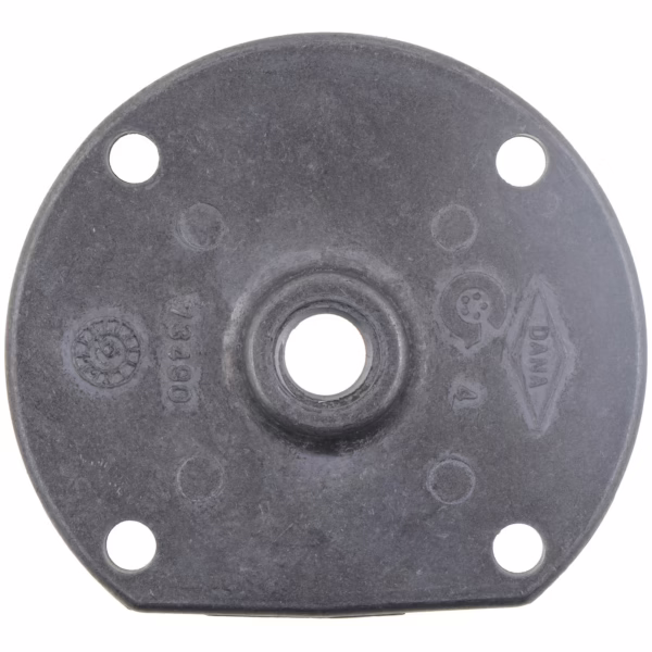 Dana 073490