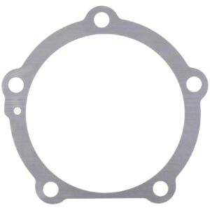 Dana 078920 Shim .010