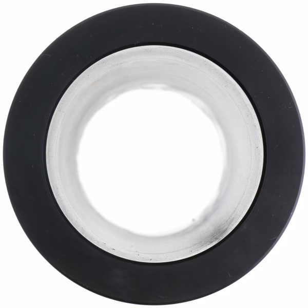 Dana 086576 Sl Cl Gear