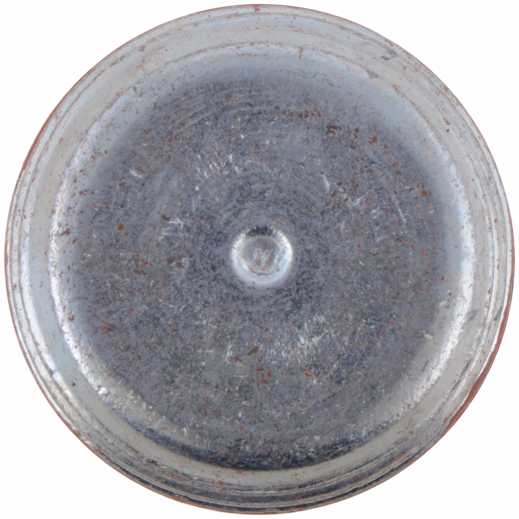 Dana 090325 Plug