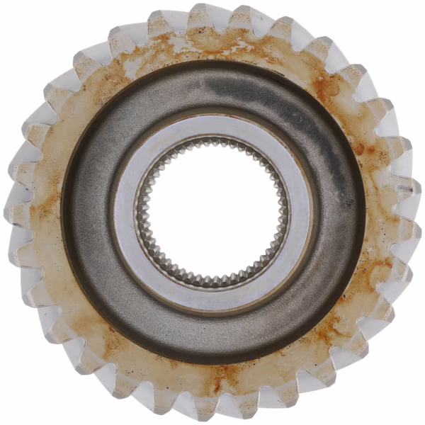 Dana 10019031