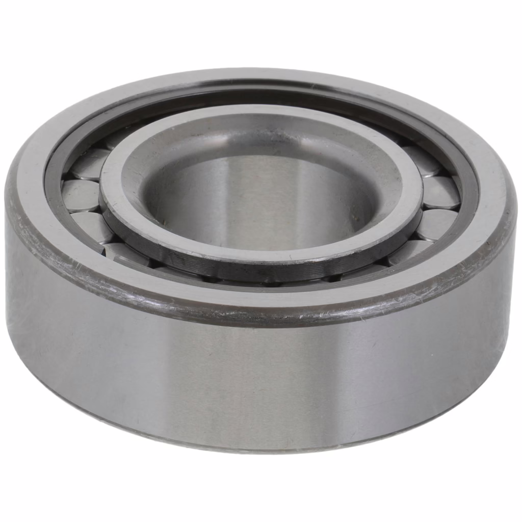 Dana 10038914 Bearing - Cylindrical Roller