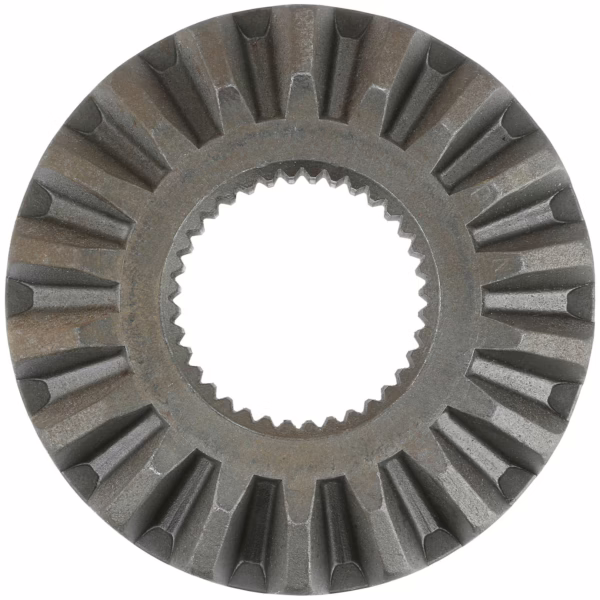 Dana 110524