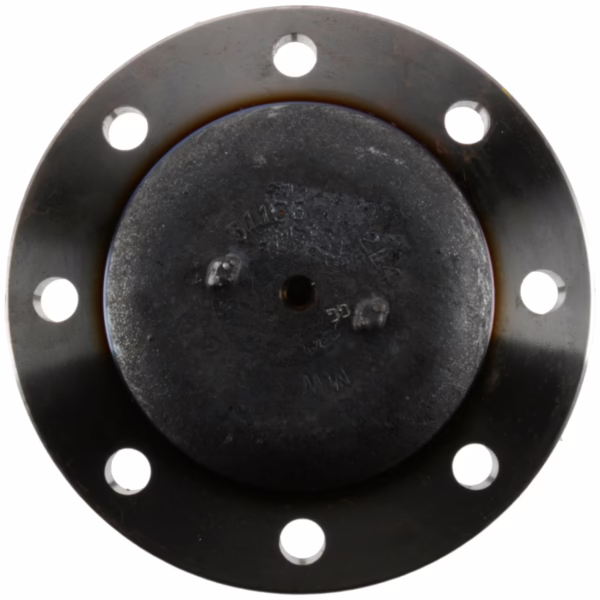 Dana 110889