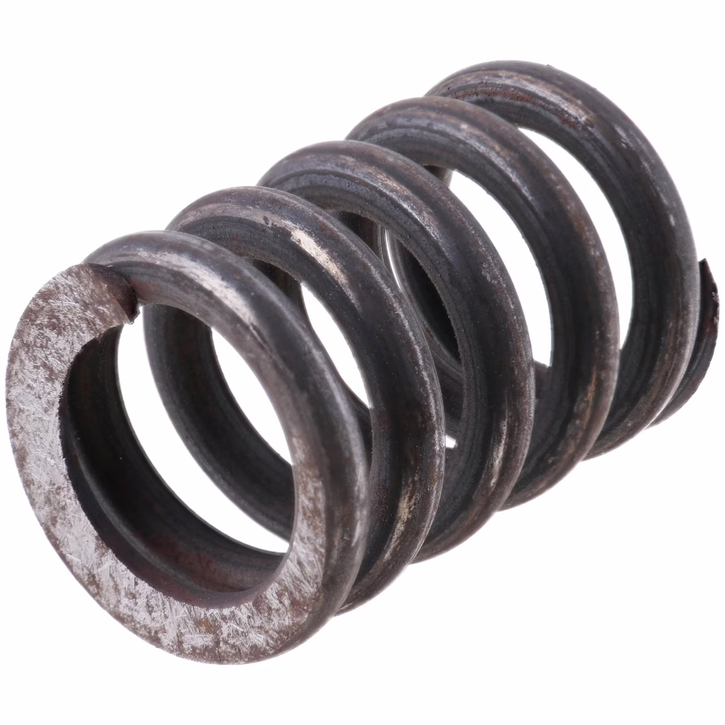 Dana 111023 Comp Spring