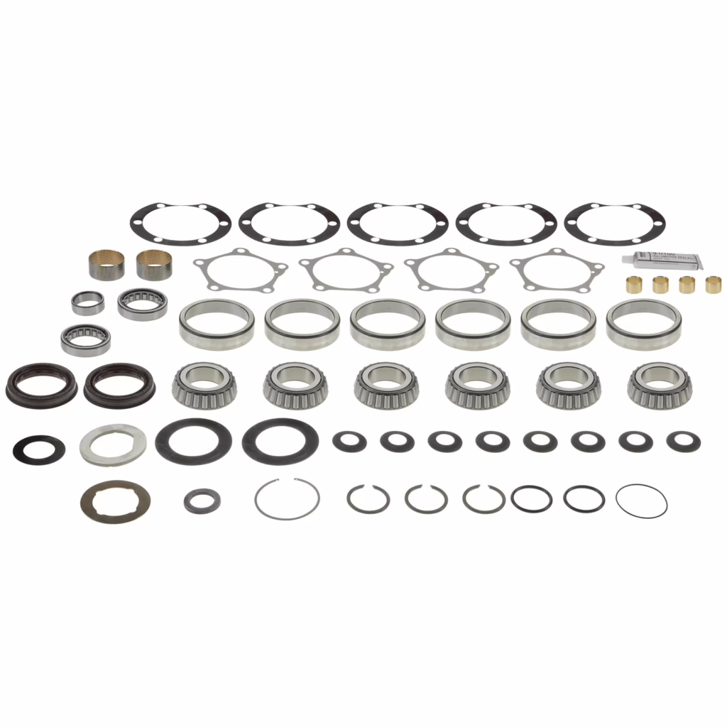 Dana 114399 Kit-Basic Overhaul