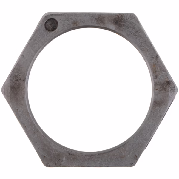 Dana 119882 Nut - Hex