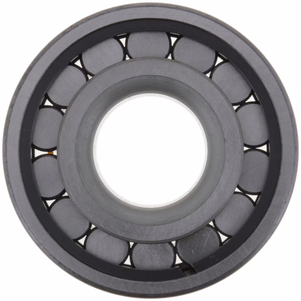 Dana 126187