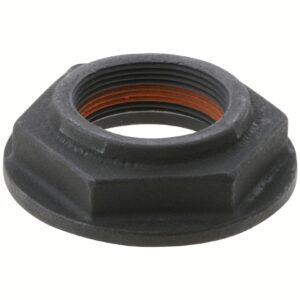 Dana 127589 Locknut