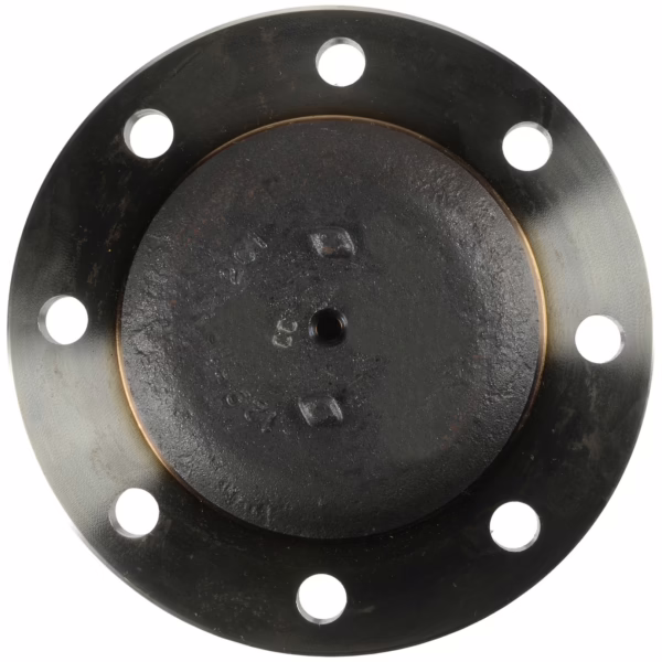 Dana 128549HX