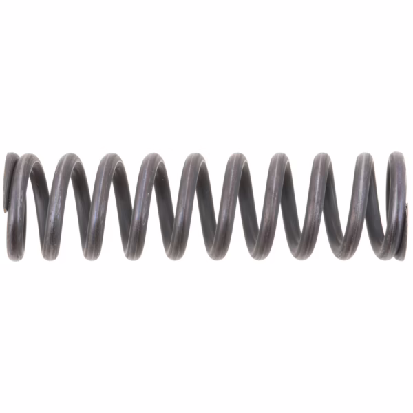 Dana 129584