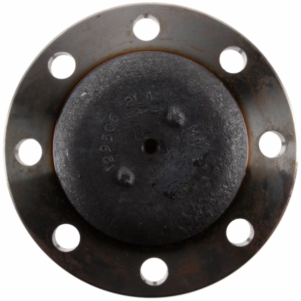 Dana 129597