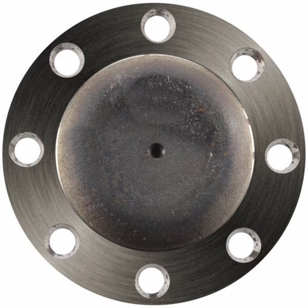 Dana 131719