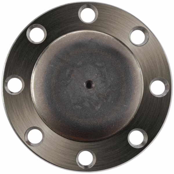 Dana 131721