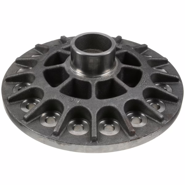 Dana 133738