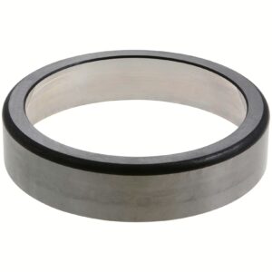 Dana 134298
