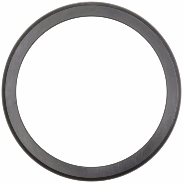 Dana 134298