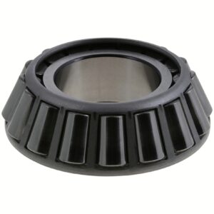 Dana 134306