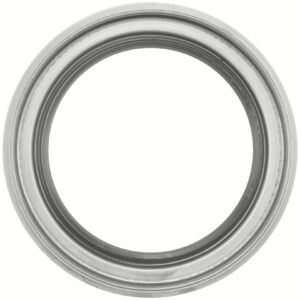 Dana 134583