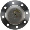 Dana 134595