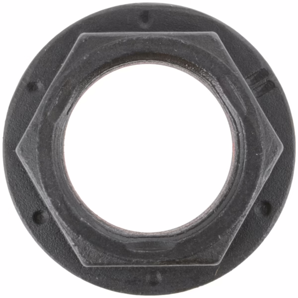 Dana 16-74-101 Nut - Hex