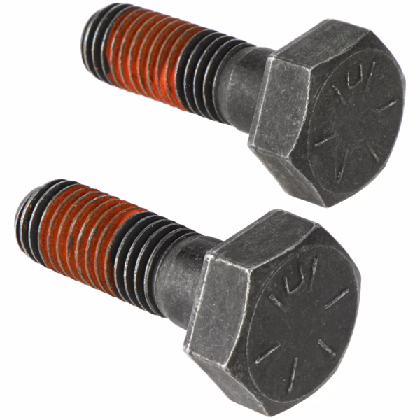 Dana 210601