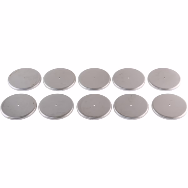 Dana 232696 Welch Plug