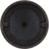 Dana 3-40-1871