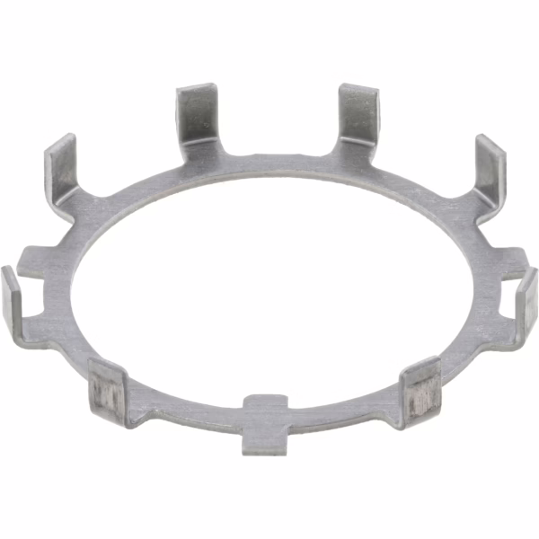 Dana 33733