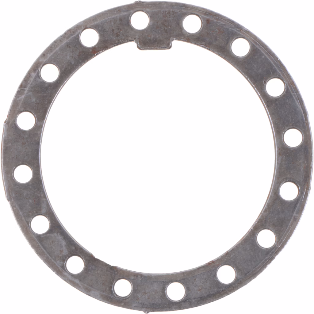 Dana 36569 Lockwasher