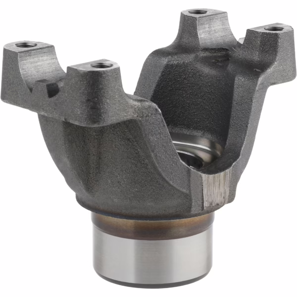 Dana 4-4-4811-1