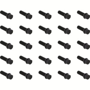 Dana 43124