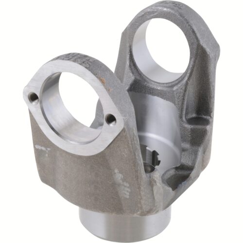 Dana 5-4-1831
