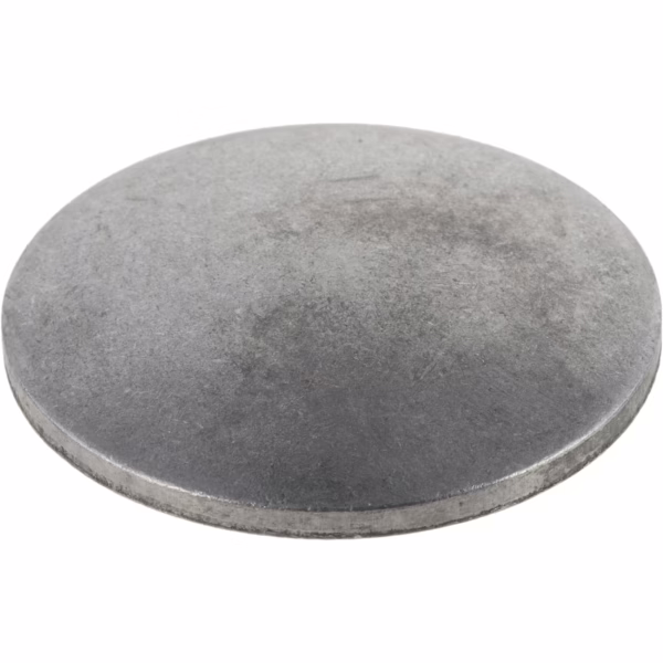 Dana 500166-23 Plug - Welch