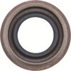Dana 50608