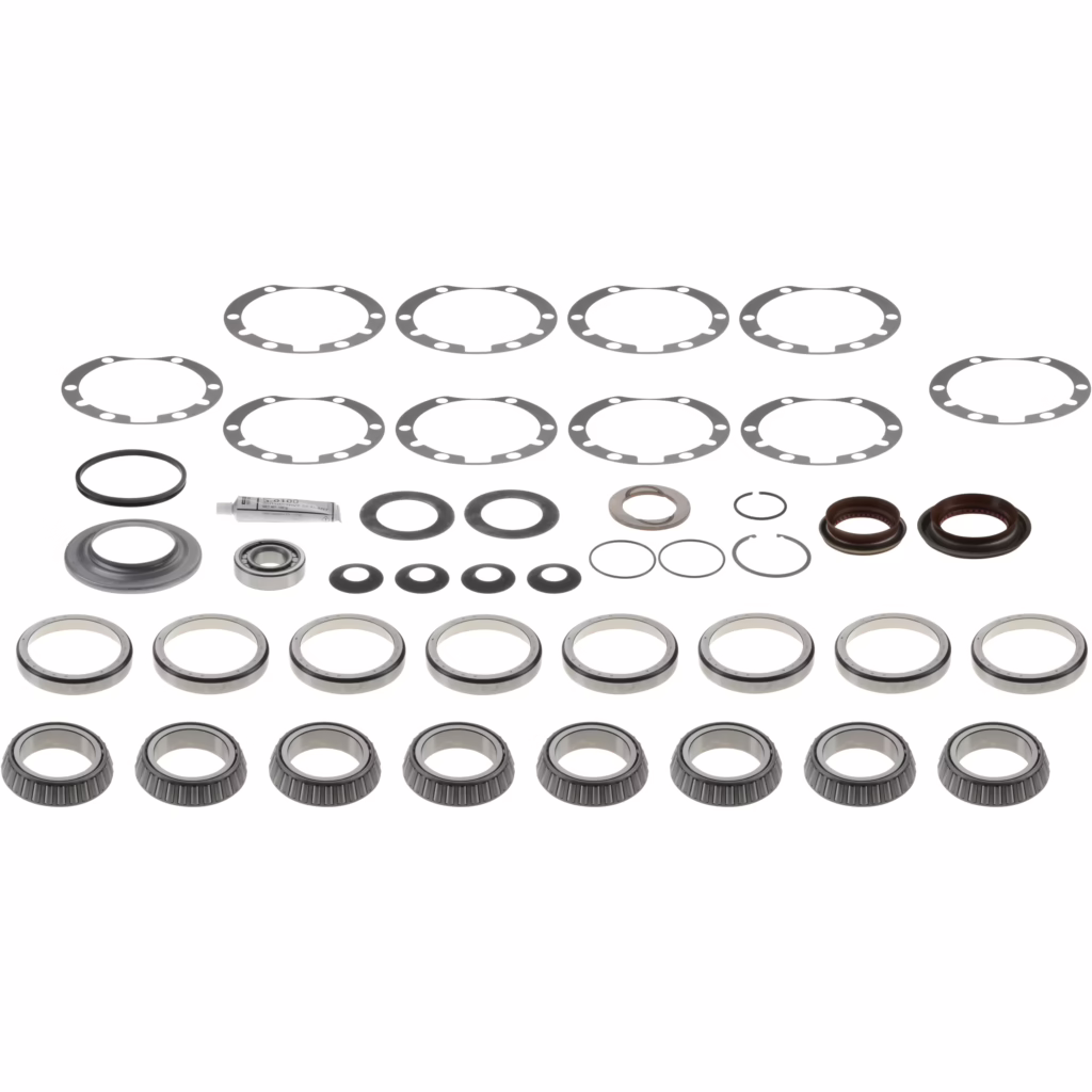 Dana 510393 Kit-Basic Overhaul