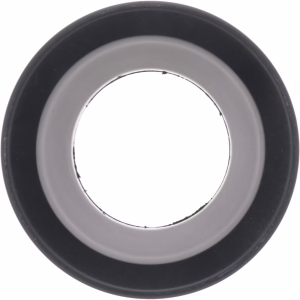 Dana 53987