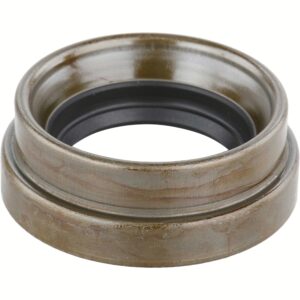 Dana 54381
