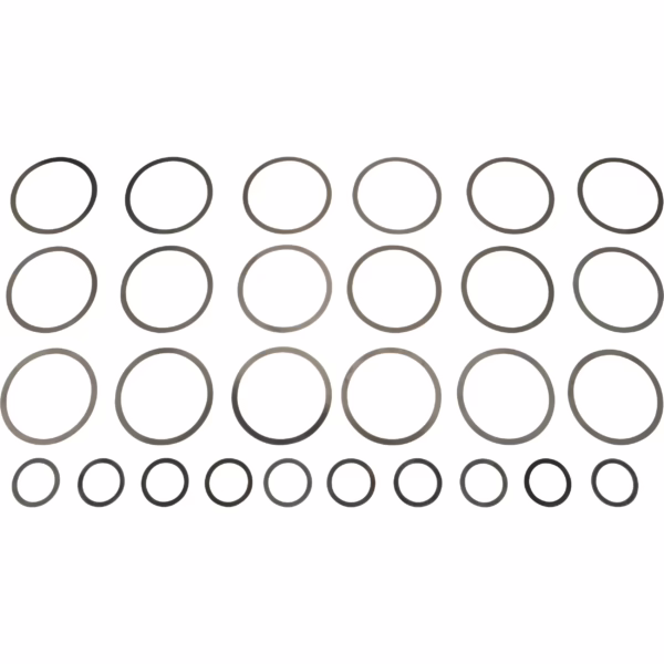 Dana 701019X