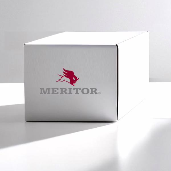 Meritor 1522387 Retainer-Needle