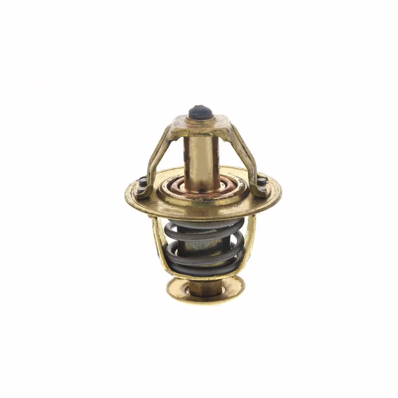 PAI 181829 Thermostat