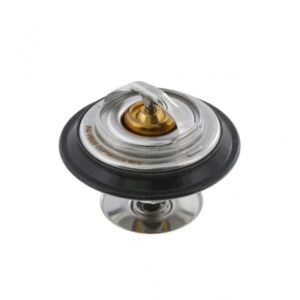 PAI 181928 Thermostat Kit (180)