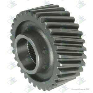 Euroricambi 3892R4698 Gear 31T