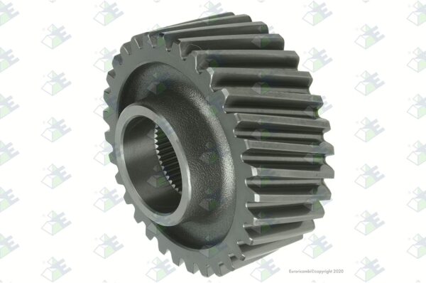 Euroricambi 3892R4698 Gear 31T