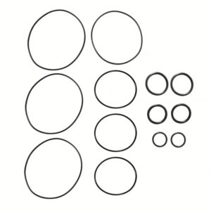 PAI 8955-200 O-Ring Kit