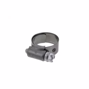 PAI 042122 Hose Clamp