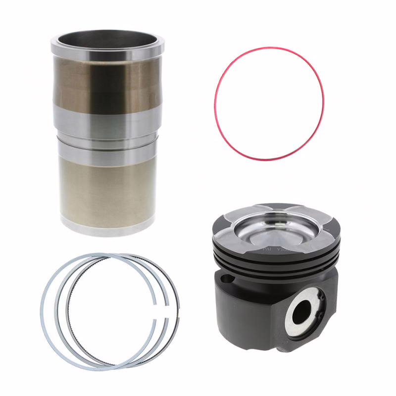 PAI 101172 Cylinder(Isx) Kit
