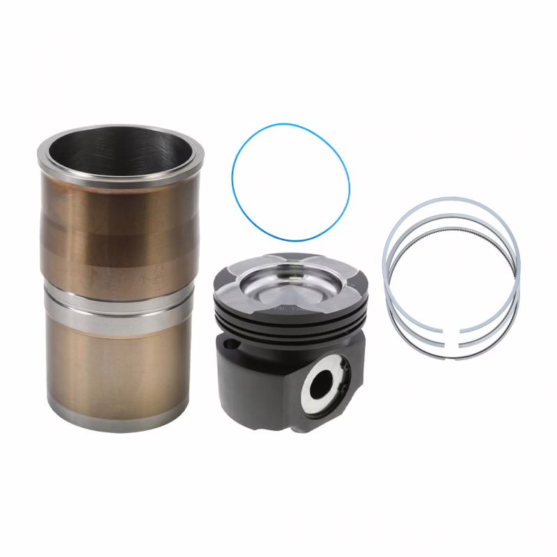 PAI 101173 Cylinder(Isx) Kit