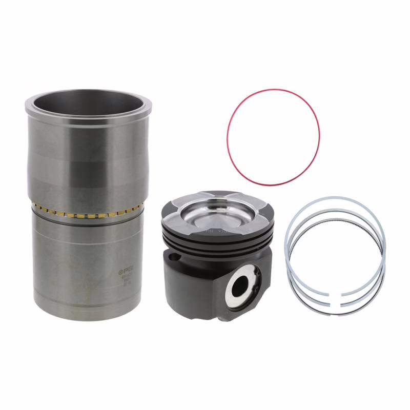 PAI 101174 Cylinder(Isx) Kit